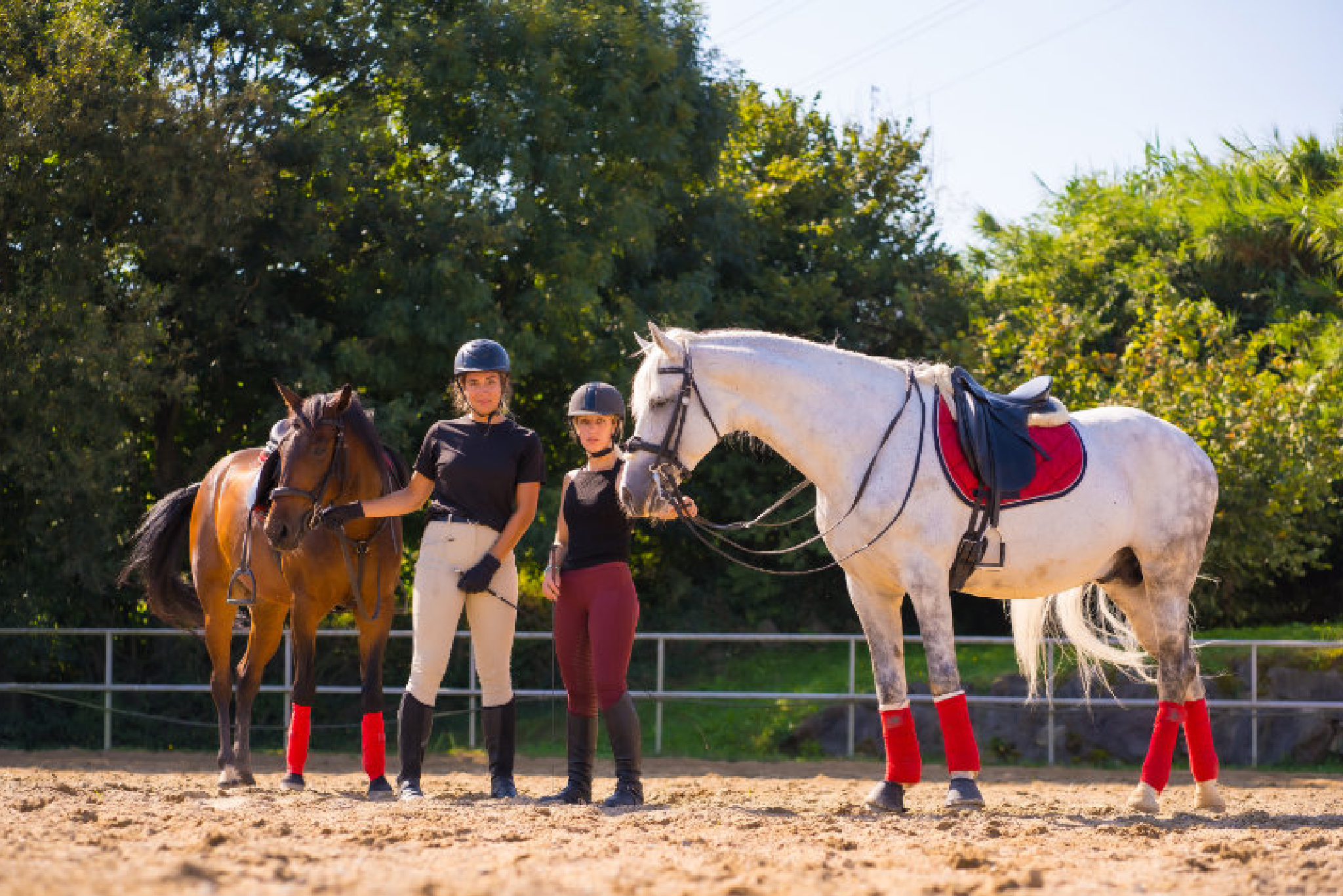 Two riders in helmets standing next to horses in an outdoor arena.